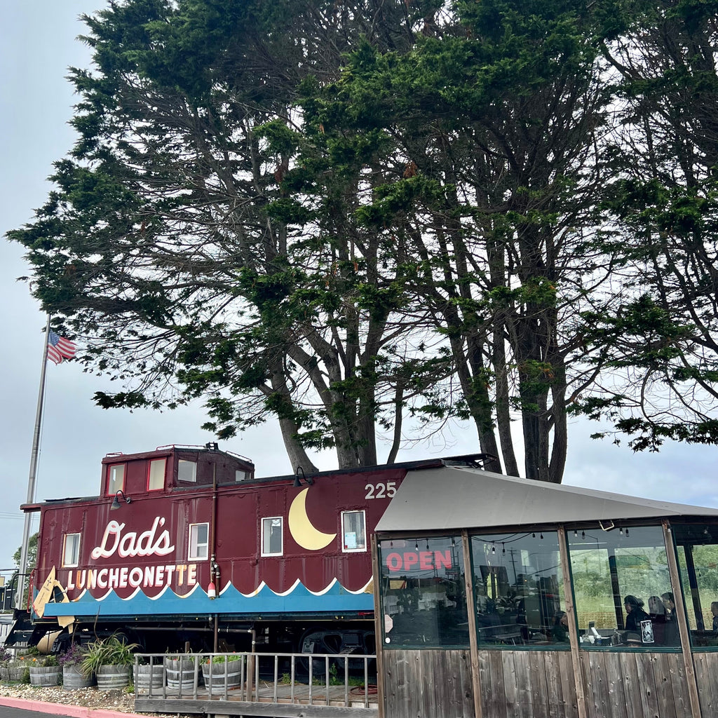 Some Days in the San Francisco Bay